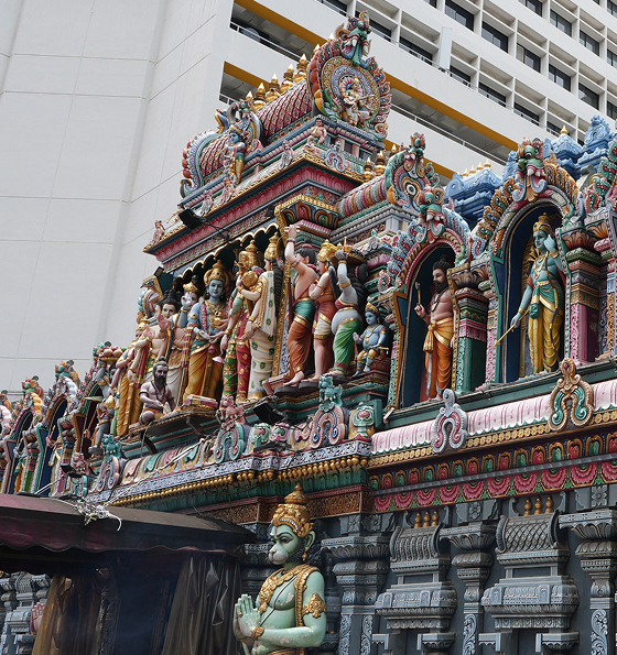 Experience Singapore at your pace with private car tours